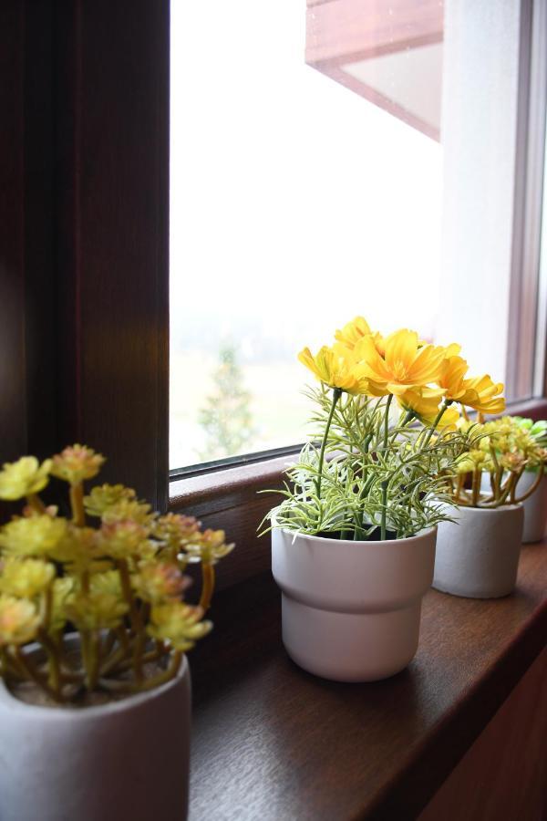 Apartman Dream Zlatibor Buitenkant foto